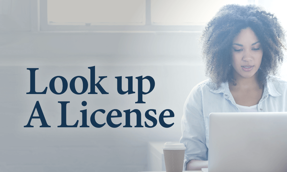 Lookup a License